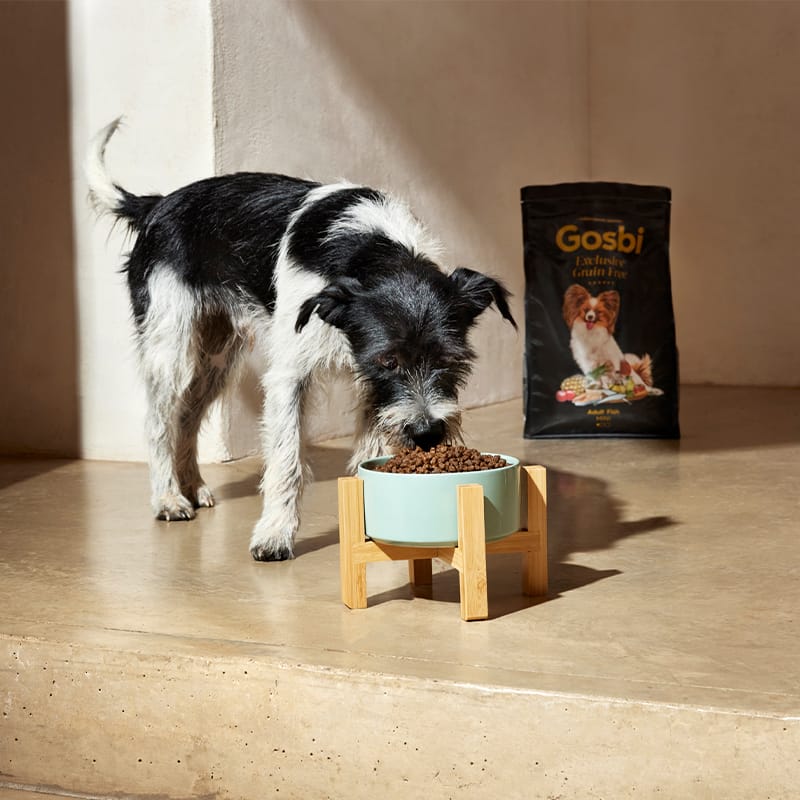 Exclusive Grain Free Dog Adult Toy Fish